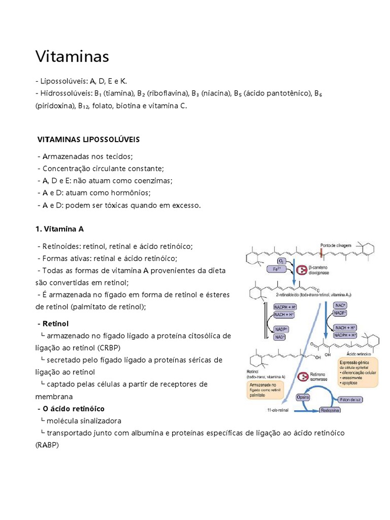 Vitaminas Lipossolúveis e Hidrossolúveis. PDF Vitamina A Vitamina