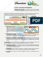 1ro de Sec Tema 3