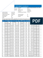 Repayment Report