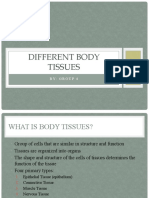 Different Body Tissues: By: Group 4