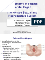 Anatomy Female Genitalia