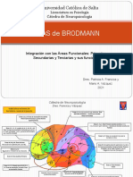 Áreas de Brodmann2021