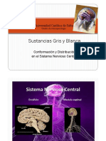 Sustancia Gris y Sustancia Blanca