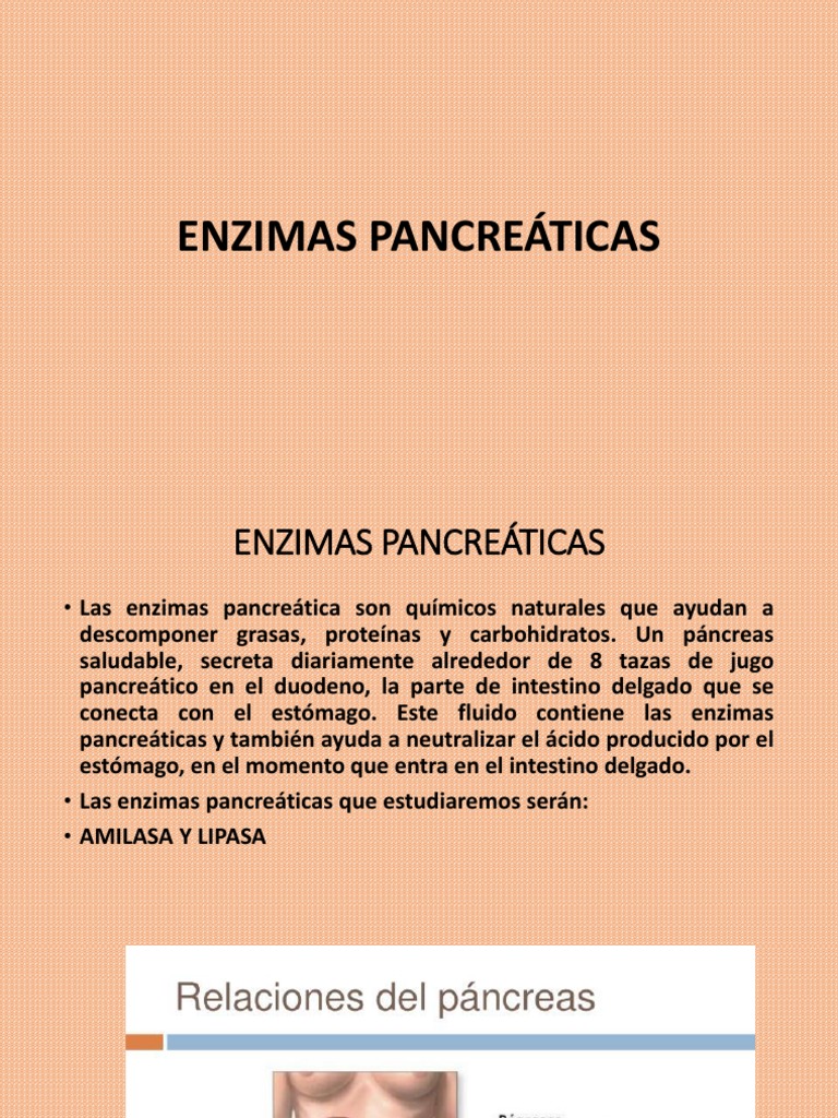 Amilasa y Lipasa PDF Páncreas Digestión