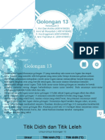 Golongan 13