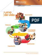 Ciclo de Vida de La Empresa