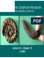 Ph. Arthropoda: Subphylum Myriapoda: (Centipedes, Millipedes, and Their Kin)