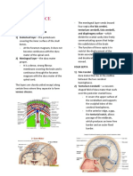 Neuroscience: Topic: Meninges