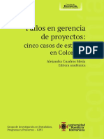 Fallos en Gerencia de Proyectos