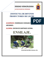 Ensayo Ensilaje