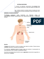 Sistema endócrino coordena funções do corpo