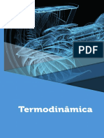 Termodinamica 2