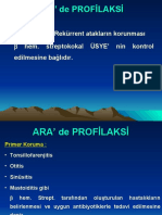 ARA PROFİLAKSİ-Birsen