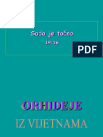 Orhideje-i-misli