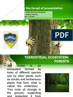 Ecosystem: The Forest of Presentation: Student: Kyara Gonzales Sangama Teacher Yahaira Huaman Fifth Grade - Primary