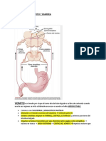 Fisiologia Del Vómito y Diarrea