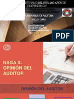 NAGA X.  OPINION DEL AUDITOR