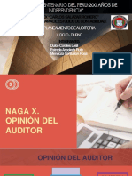 Naga X. Opinion Del Auditor