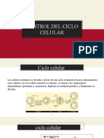 Control Del Ciclo Celular..