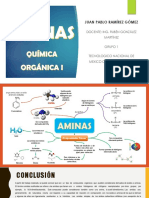 Aminas - Ramirez Gomez Juan Pablo