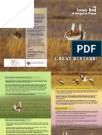 Great Bustard: An Iconic Bird of Mongolian Steppe