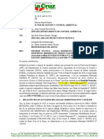 DCA INF #051 - 2020. Tala de Dos Individuos Arboreos en Predio de Condominio Bacury