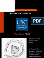 Sistema Límbico - 04