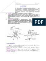 465-2013-08-22-H6 Aracnidos