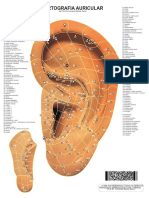 Cartografía Auricular