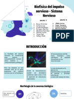 Biofísica Del Impulso Nervioso - Sistema Nervioso