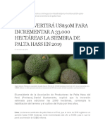 Datos económicos de palta Hass en Perú enero 2019 1