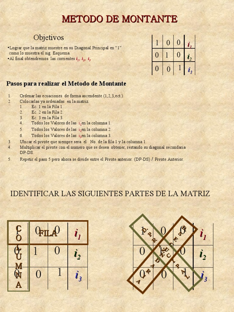 Método Montante para Matrices | PDF | Álgebra lineal | Teoría de la matriz