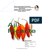 Elaboración de un huerto de ají picante en Flor de Patria, Estado Trujillo, Venezuela