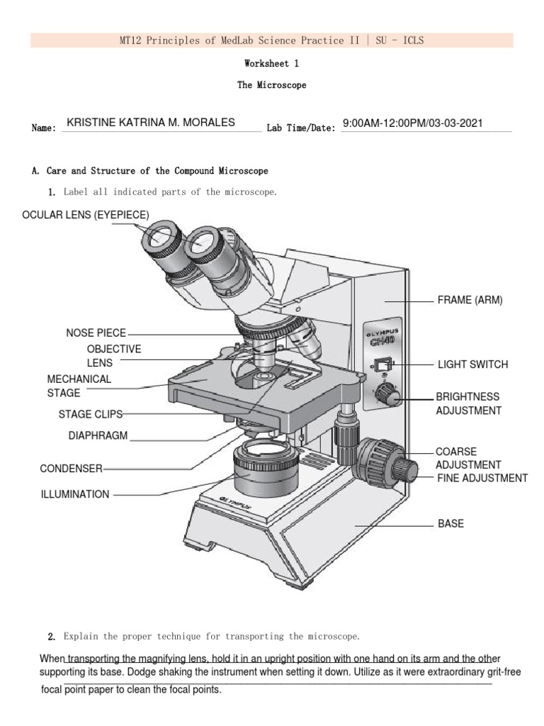 MT12 Microscope Worksheet PDF Laboratory Equipment Natural Philosophy