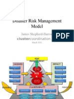 Disaster Risk Management Model JS-B (March 2011)