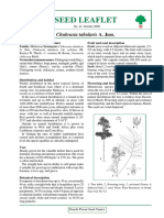 Seed Leaflet: Chukrasia Tabularis A. Juss