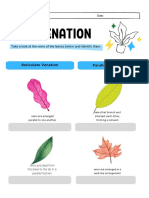 Leaf Venation: Reticulate Venation Parallel Venation