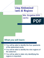 Identifying Abdominal Quadrants & Regions: Mrs. Burgstiner, BSN Hste I