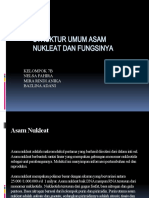 Asam Nukleat