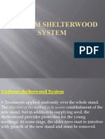 Uniform Shelterwood System