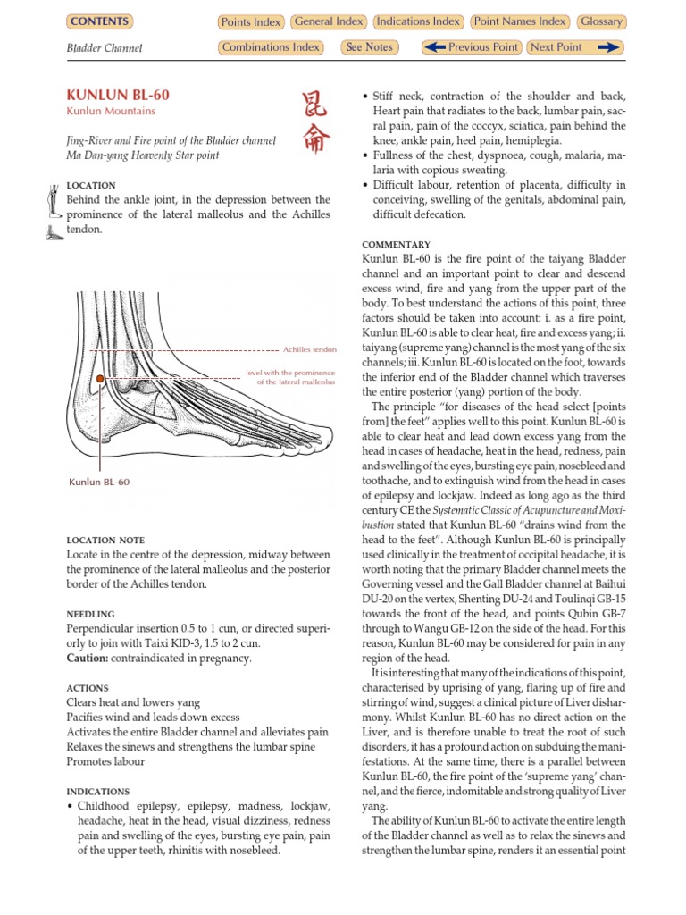 BL-60 Acupuncture Point Overview | PDF | Clinical Medicine | Diseases ...