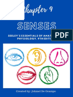 A-P Chapter 9 Senses