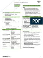 Understanding Respiratory Diseases