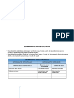 Determinantes Gs Rogger Choque