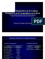 Presentacion Diagnóstico Acuicultura