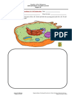 Mtot Mendelian Worksheets