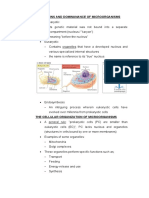 The Origins and Dominanance of Microorganisms