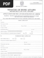 Dha-529 South Africa Citizenship Form | PDF