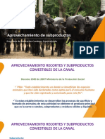 Curso Asobufalos Aprovechamiento Subproductos