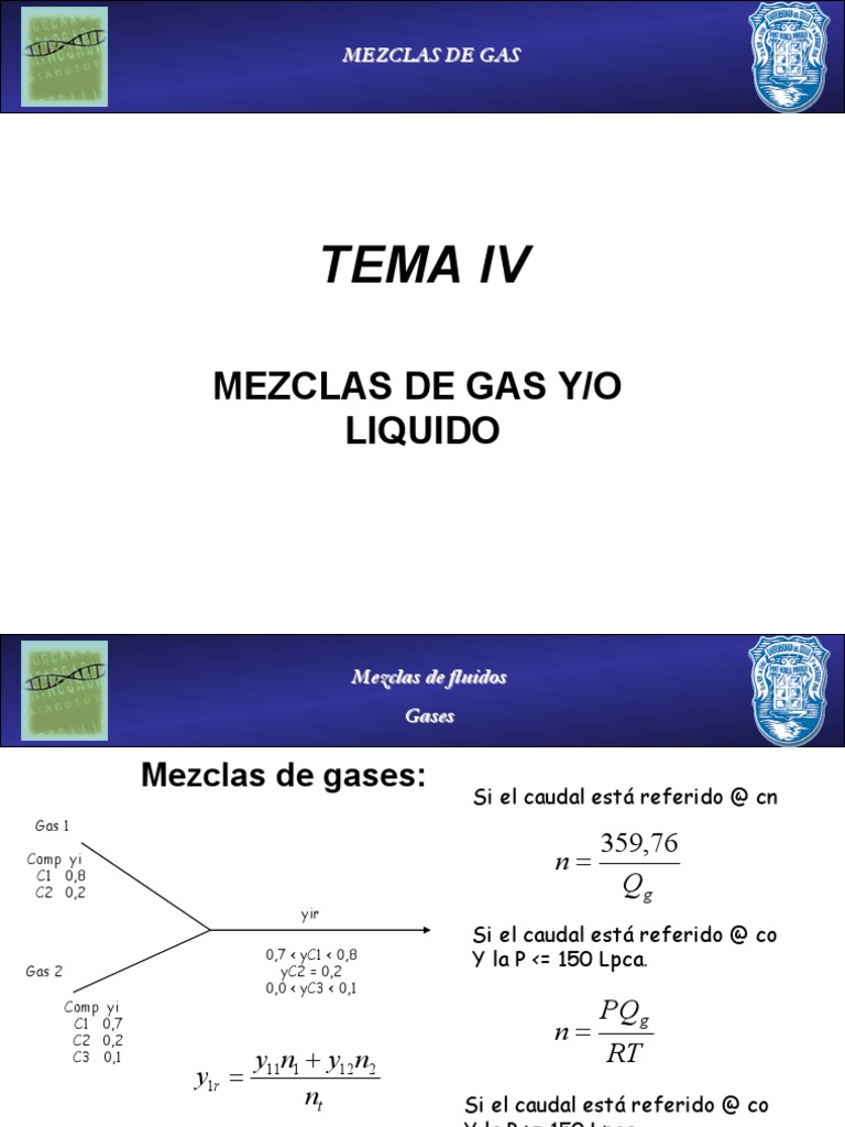 Mezcla de Gas y Liquido Gasotecnia | PDF | Combustión | Gas natural
